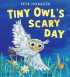 Tiny owl's scary day